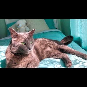 Meet your Posher, Alicia